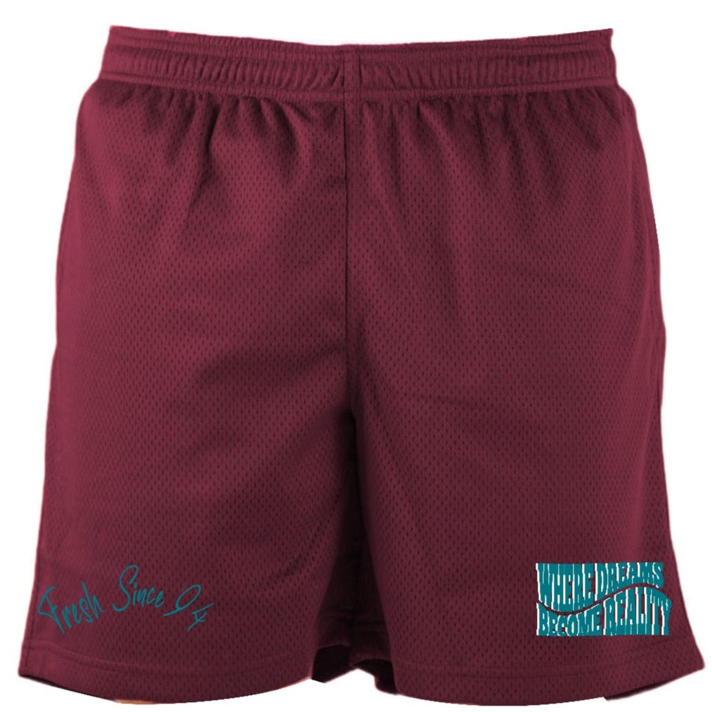 WDBR Mesh Short "Mighty Ducks"